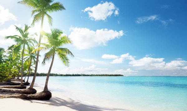 Море пляж пальмы