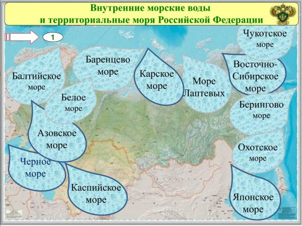 Внутренние морсик Евды
