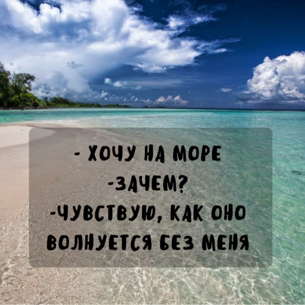 Смешные цитаты хочу на море
