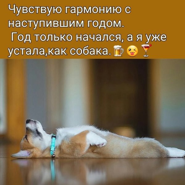 Шутки про усталость