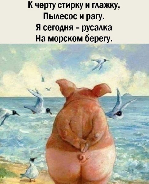 Руди Хурцльмайер картины свинья