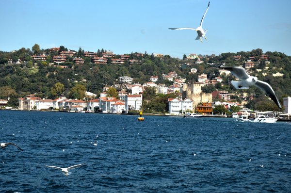 Мечеть ортакёй