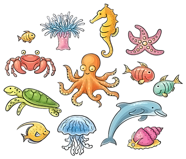 Морские жители для детей