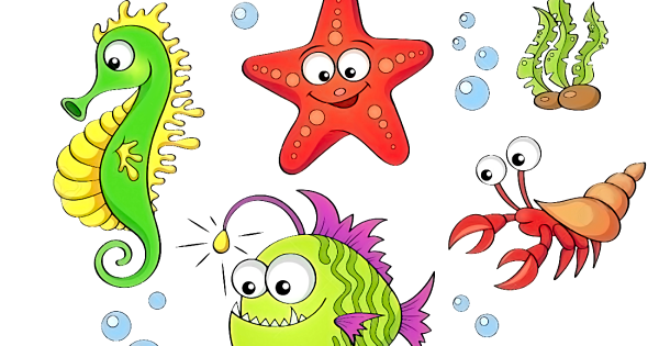 Морская звезда