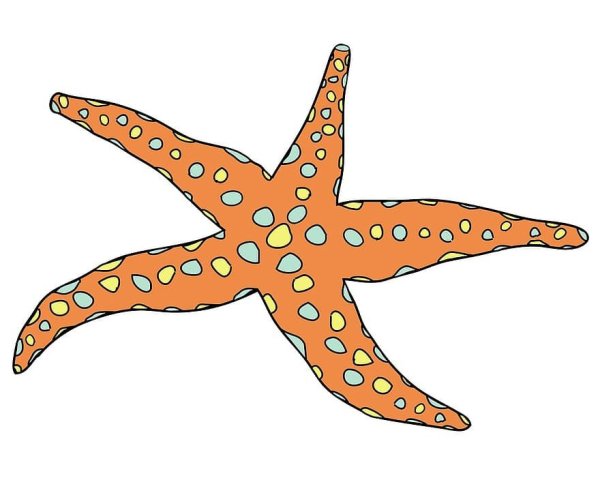 Морские животные