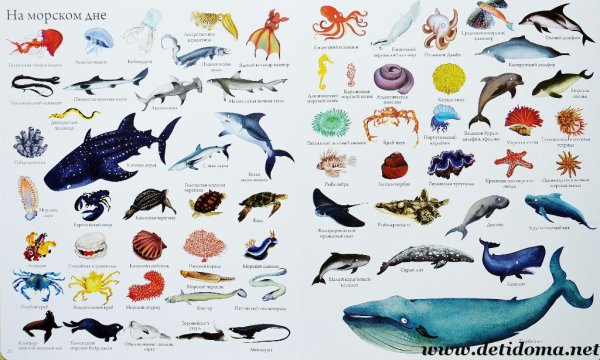 Морские жители для вырезания