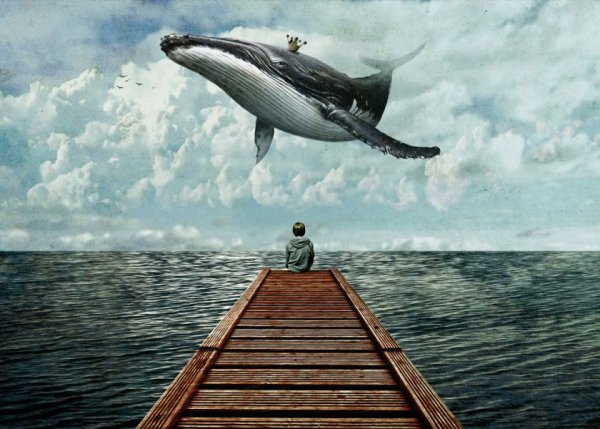 Киты в небе