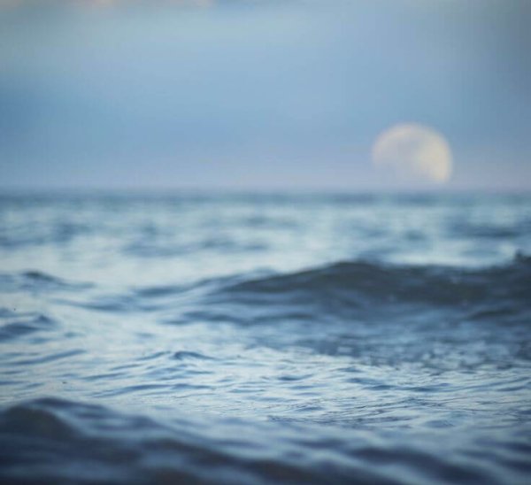 Море одиночество
