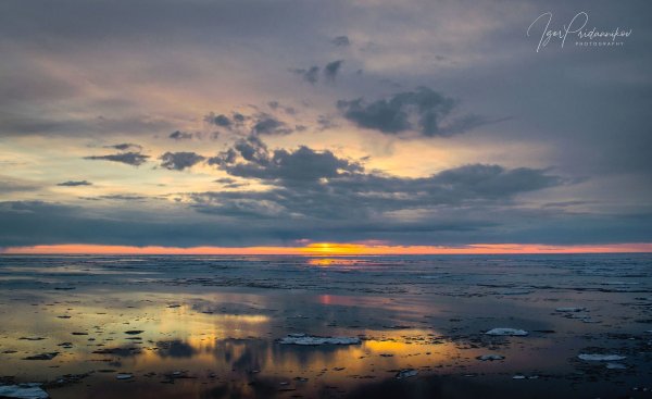 Берег Карского моря