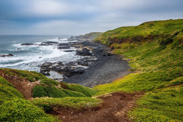 Берег Карского моря