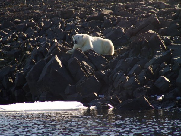 Карское море Ямал