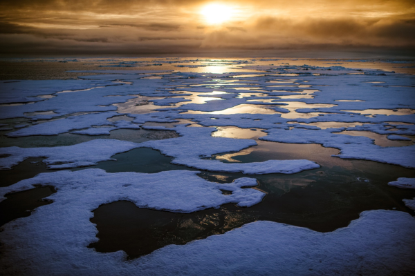 Берег Карского моря