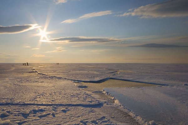 Карское море Обская губа