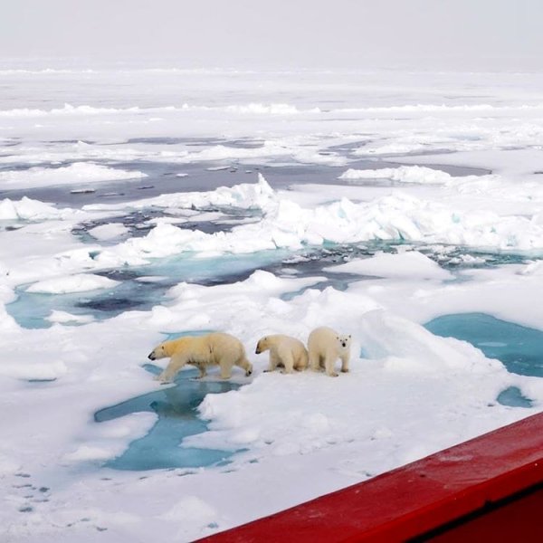 Карское море