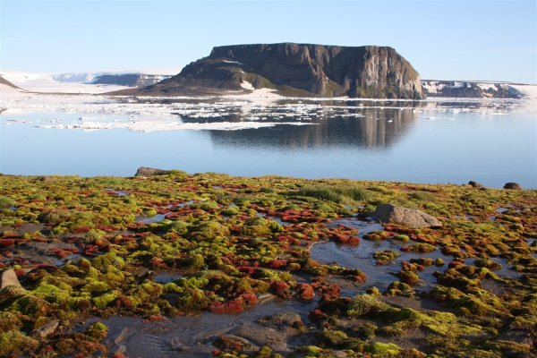 Природный заказник земля Франца-Иосифа