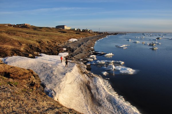 Амдерма тундра