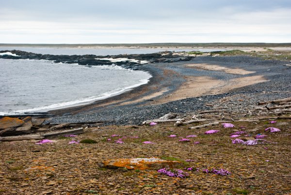 Карское море