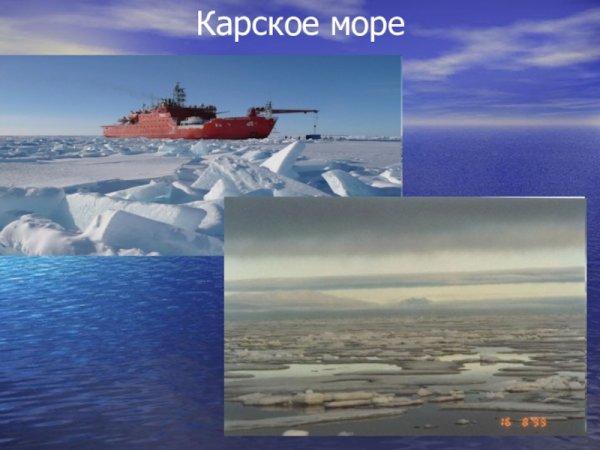 Карское море омывает берега