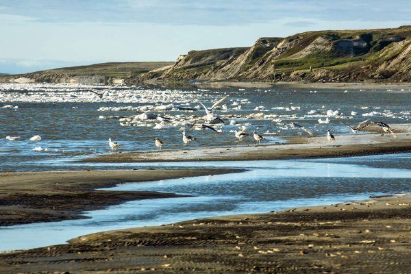 Карское море Обская губа