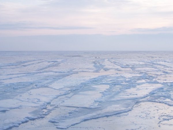 Эстуарии Карского моря