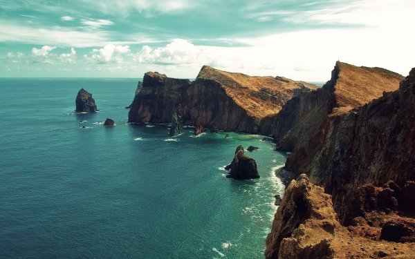 Море пляж пальмы