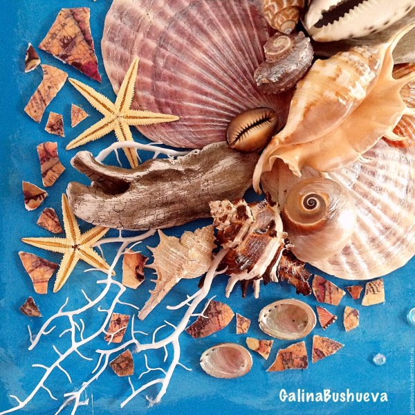 Морские сокровища: идеи мозаичных панно с ракушками