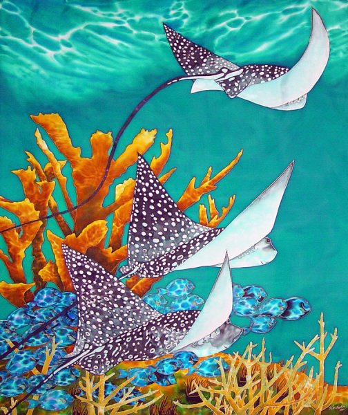 Композиции из ракушек и камней