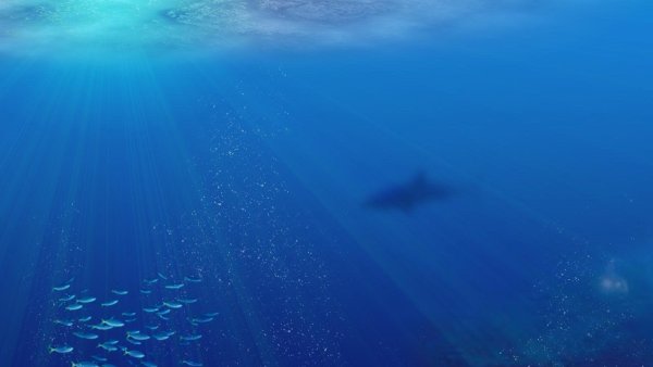 Вид под водой в океане