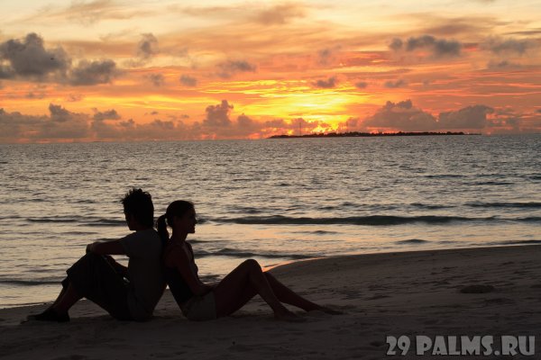 Свадьба на берегу моря закат