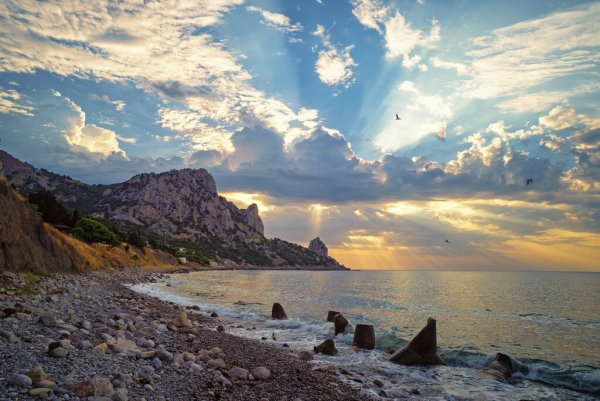 Южный берег Симеиз