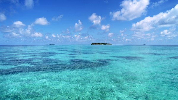 Коричневое море