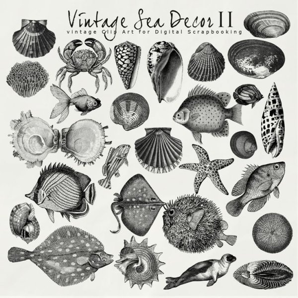 Морское для скрапбукинга черно белые