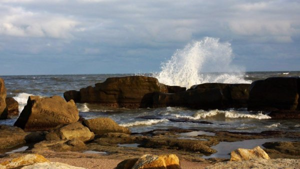 Дагестан природа Каспийское море