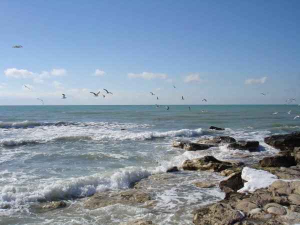 Берег Каспийского моря