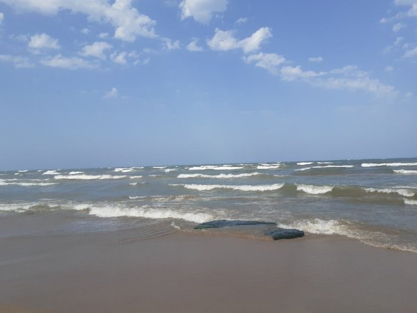 Самур Каспийское море