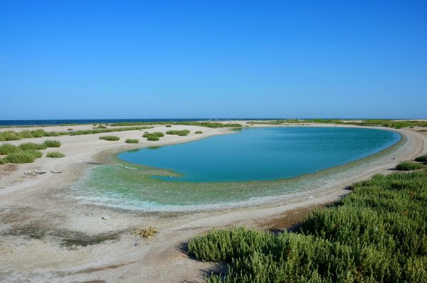 Астрахань Каспийское море пляж