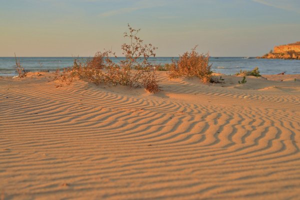 Пляжи Каспия в Астрахани