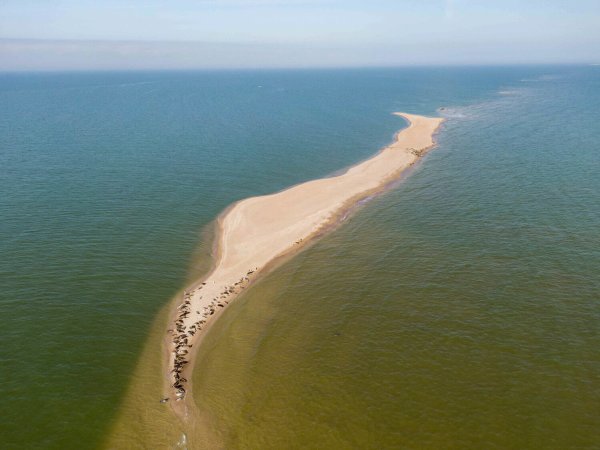 Астрахань Каспийское море