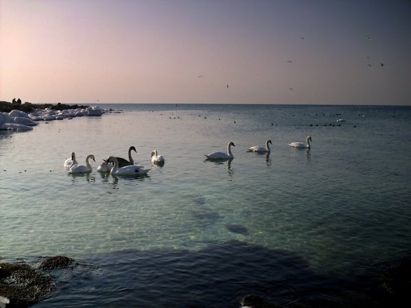 Астрахань Каспийское море пляж