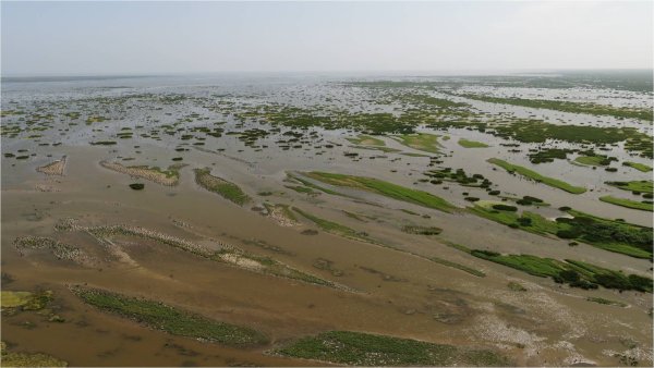 Остров малый жемчужный Астраханская область