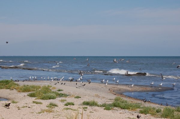 Астрахань Каспийское море пляж