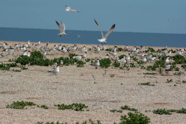 Туркменистан побережье Каспийского моря