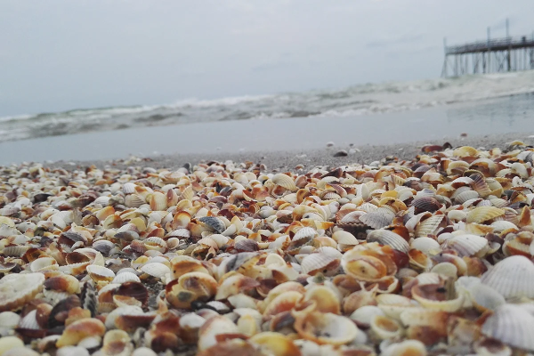 Каспийское море Лагань