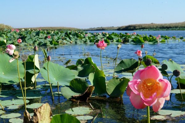 Каспийское море Дагестан Избербаш