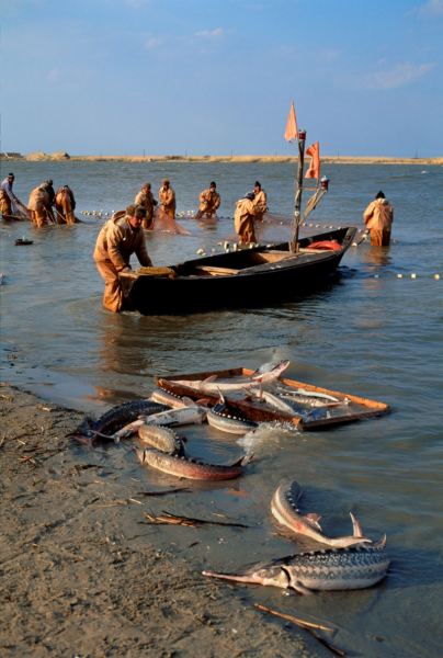Городской пляж Астрахань 2019