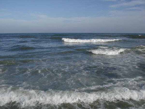 Фёдор Лашков Дельта Волги