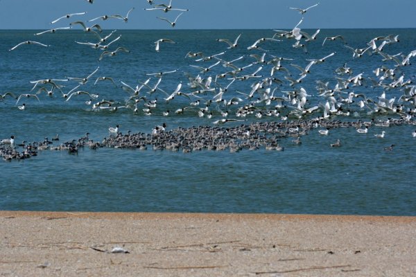 Пляж Лагуна Каспийск