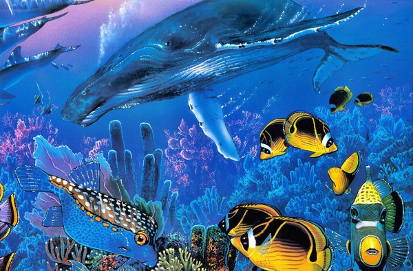 Подводный мир