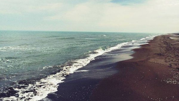 Черный пляж Самурский лес Каспийское море