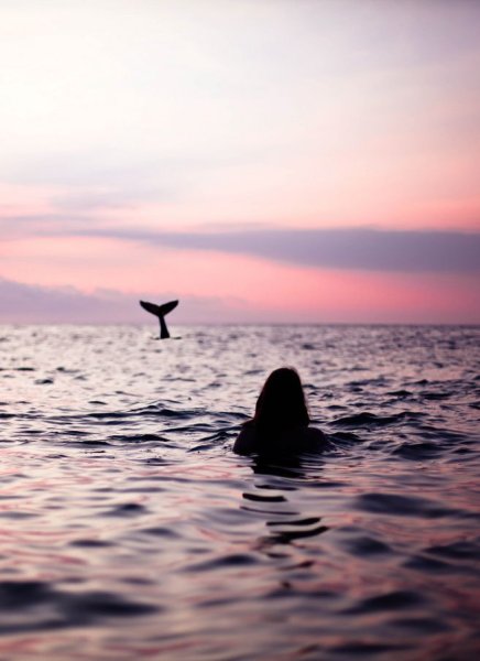 Лето на аву